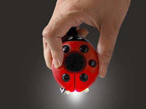 てんとう虫アラーム (LADYBUG / ladybug)
